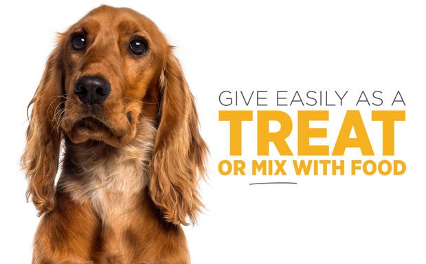 maxxicalm Integratore Calmante per Cani –Aiuta l’Animale ad Affrontare  Situazioni di Stress come Ansia da Separazione, Fuochi d’Artificio, Viaggi  –