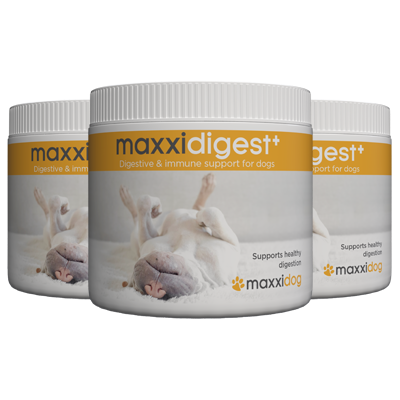 Bottles of maxxidigest+ digestive and immune support for dogs