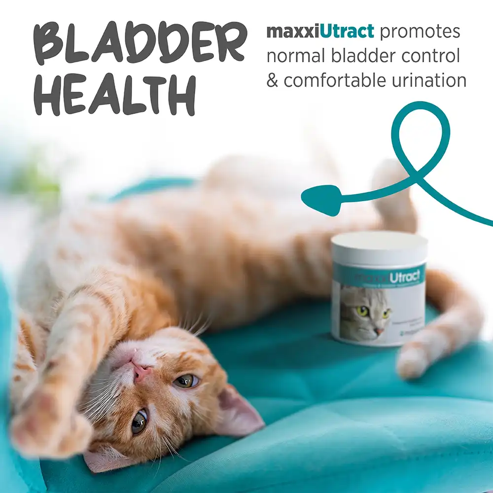 maxxiutract_cat_infographic_005