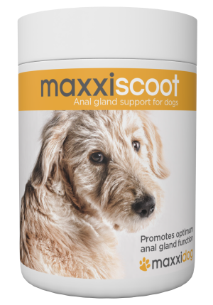 Female Dog Anal Glands - maxxipaws