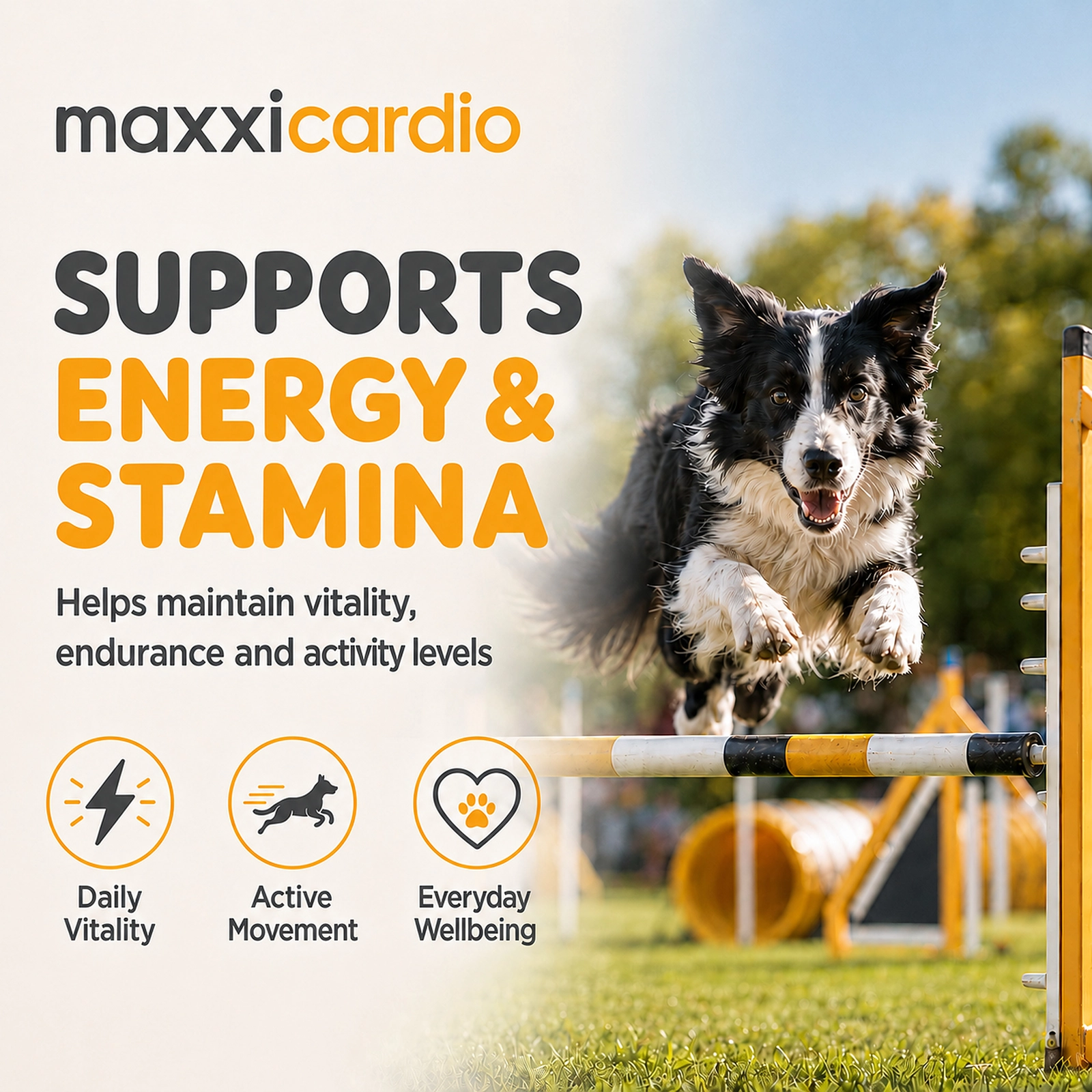maxxicardio for dogs energy and stamina support