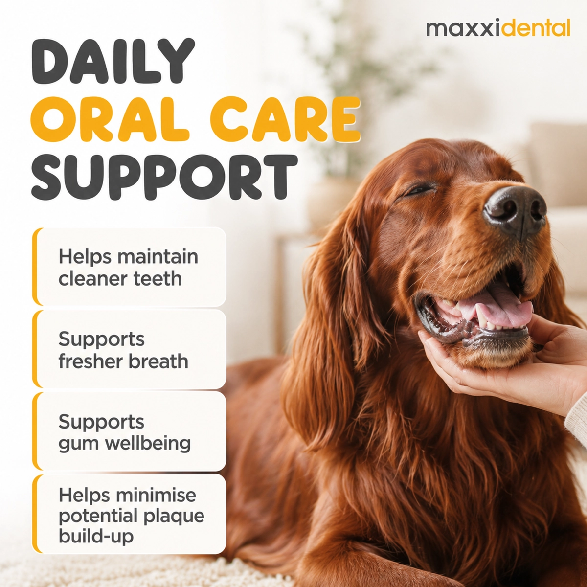maxxidental daily oral care support for dogs