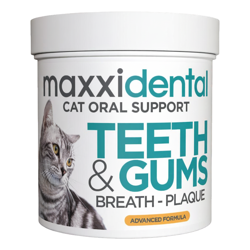 maxxidental oral supplement for cats for clean teeth fresh breath and healthy gums