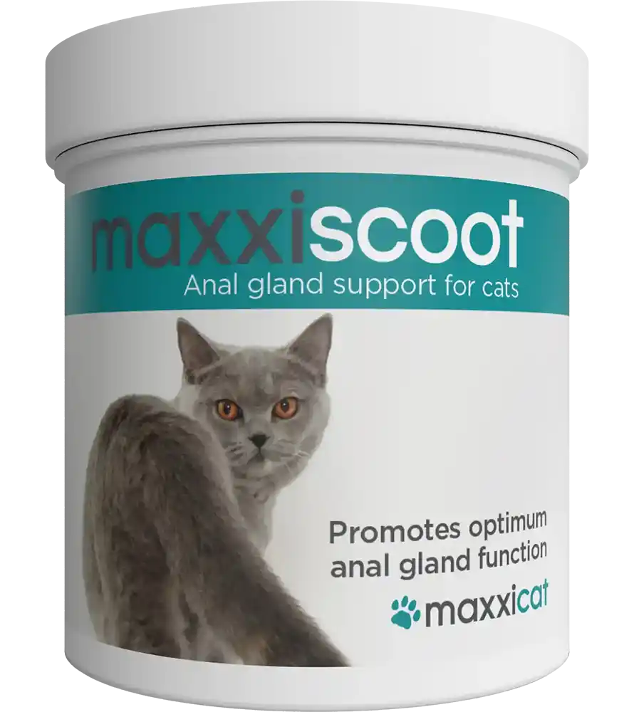 maxxipaws maxxiscoot anal gland product for cats