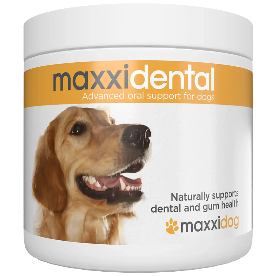 product_galllery_dogdental_white_bg