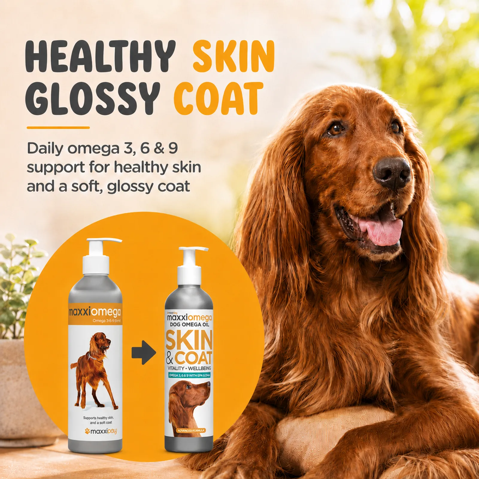 maxxipaws-maxxiomega-dog-healthy-skin-shiny-coat