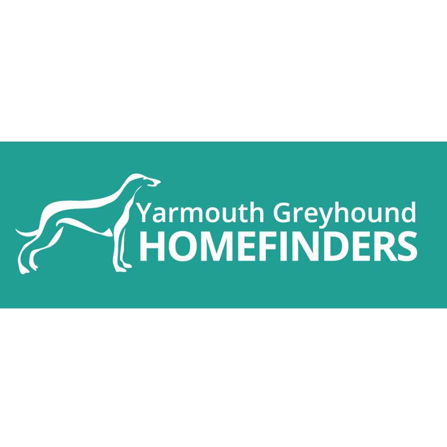 greyhoud